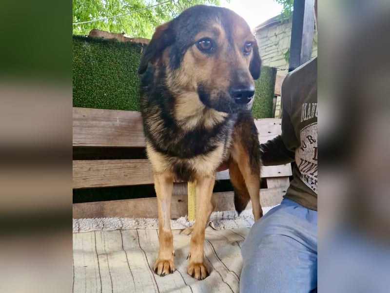 Susa, sie bettelt hinter Gittern um Liebe...
