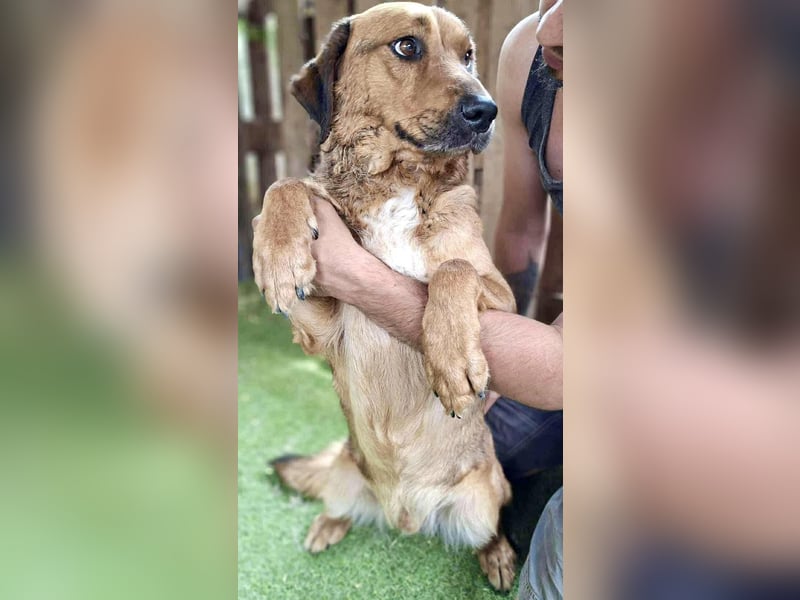 Freundlicher, ruhiger Kiran