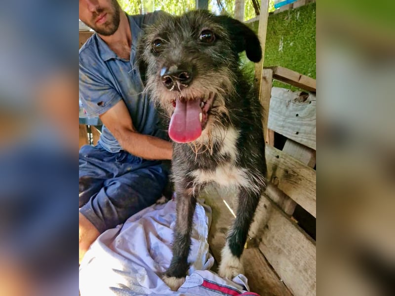 Luna sucht einen Ort zum Ankommen