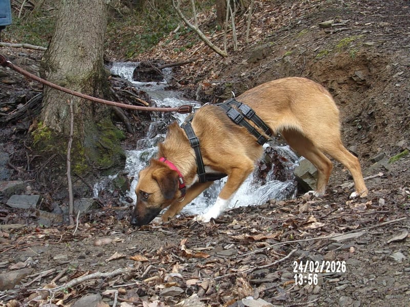Sira wartet auf ihr Happy End