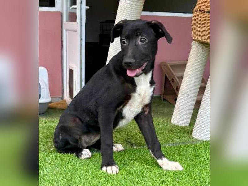 Arky, kleiner Entdecker sucht seine Herzensmenschen