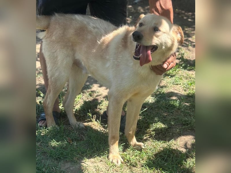 TOKALA – Ein Sonnenschein, der endlich gesehen werden möchte ☀️