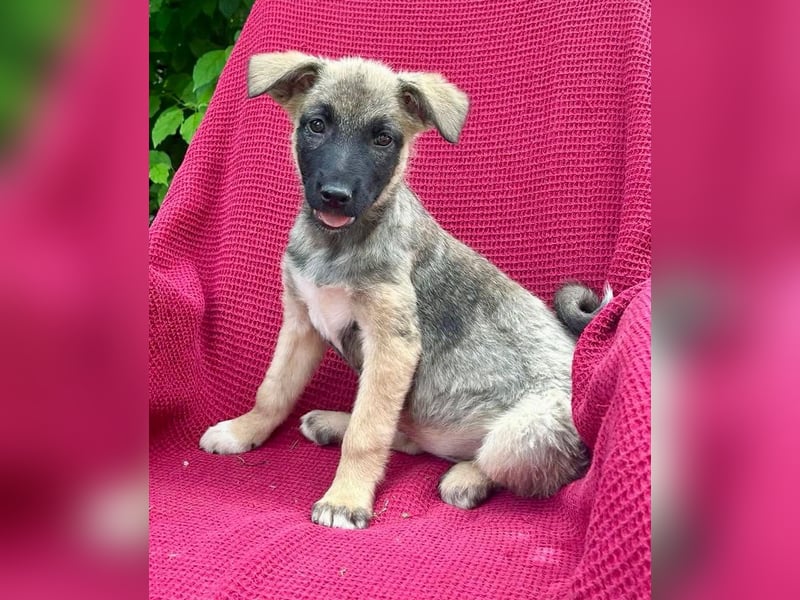 PAULINA , auf der Suche nach Glück
