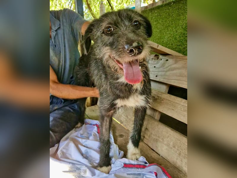 Luna sucht einen Ort zum Ankommen