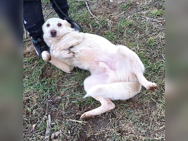 Ralf wartet seit 4 J. auf seine Ausreise aus Rumänien