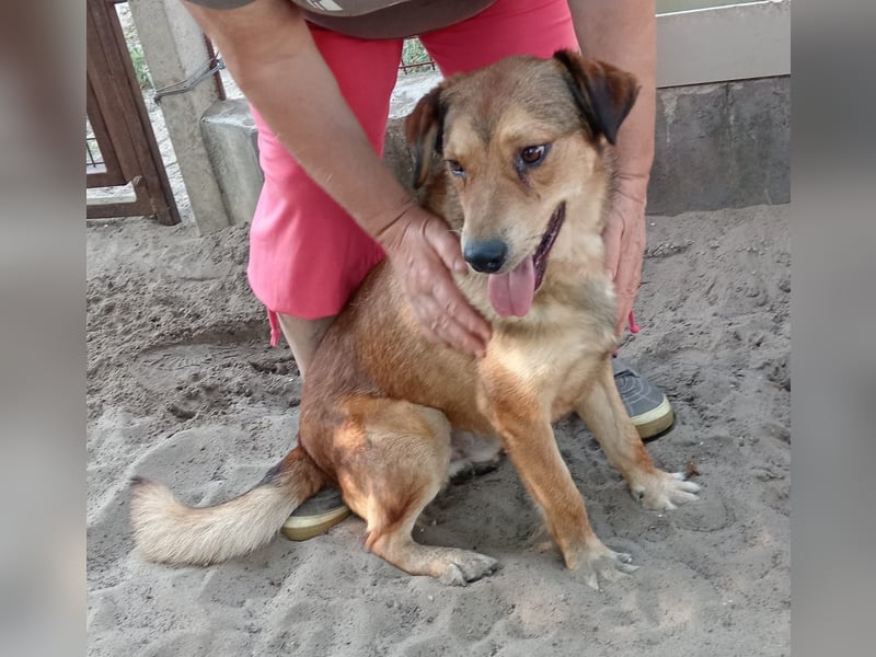 Nimer will endlich zuhause ankommen