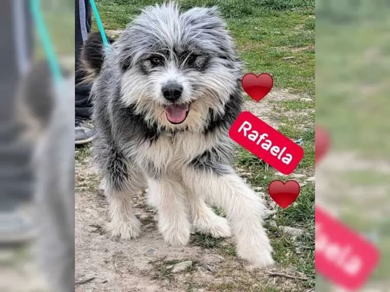 Rafaela lacht, obwohl sie in Rumänien nichts zu lachen hat