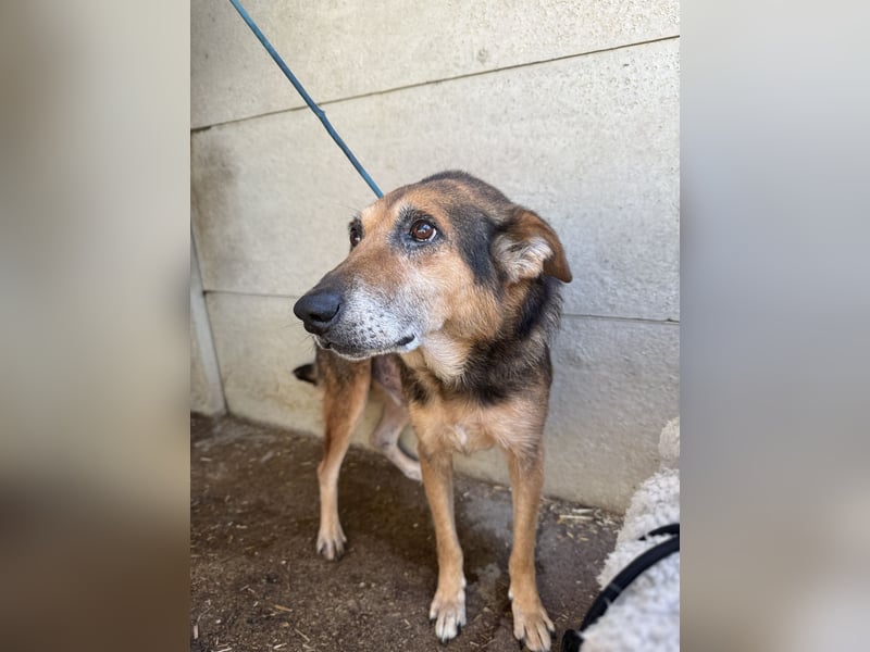 Gáspár möchte endlich ankommen