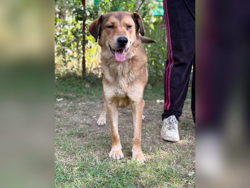 Nimer möchte endlich ankommen