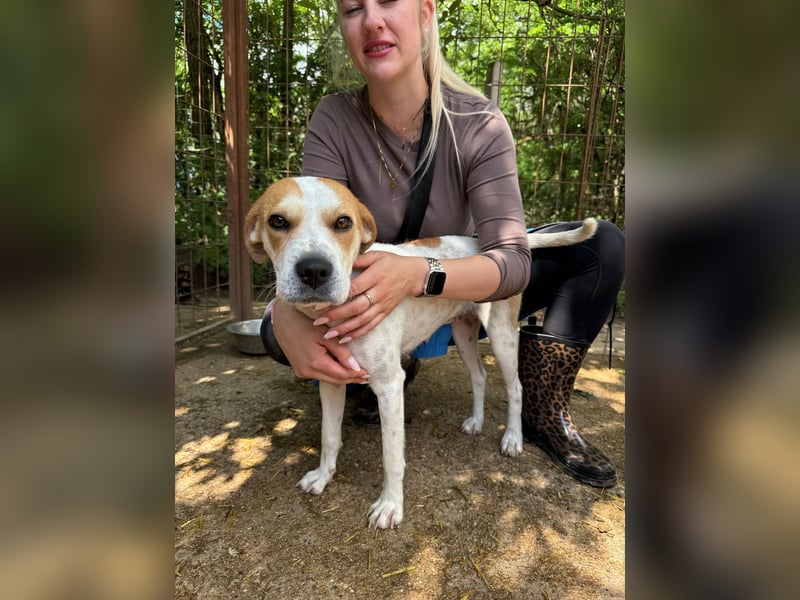 Leila sucht Familie