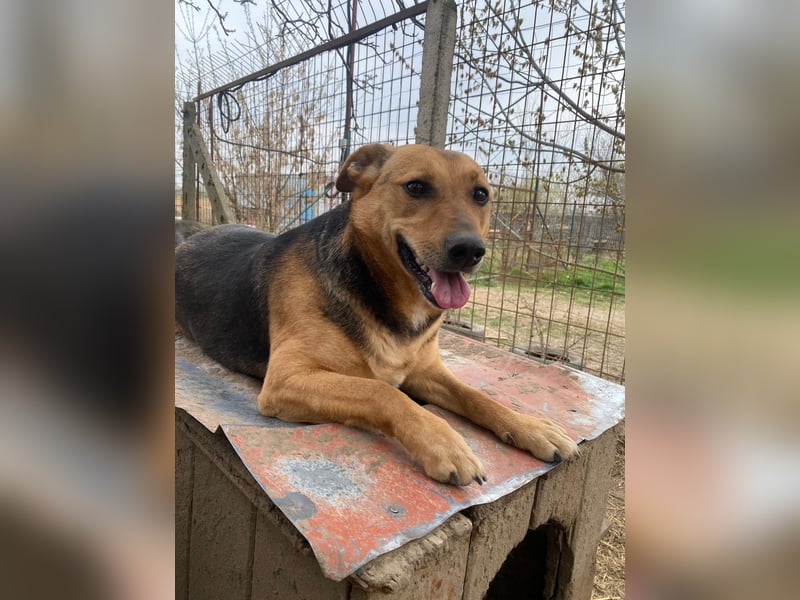 Zengö wartet auf ihr Happy End