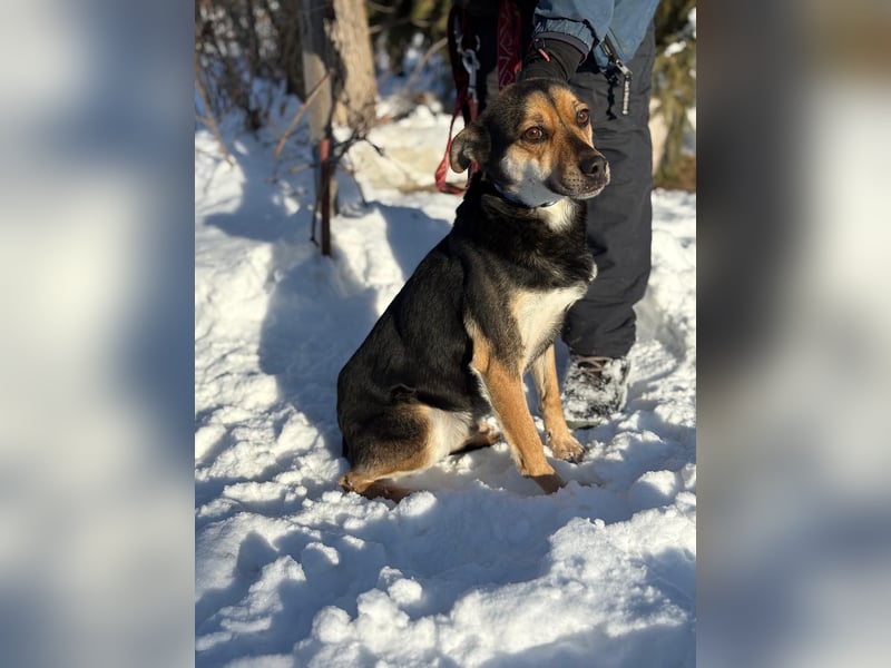 Alek möchte endlich ankommen