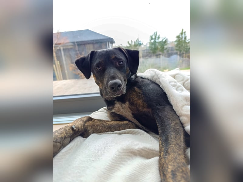 Aktive Pina wartet in 52385 Nideggen auf ihr Happy End!