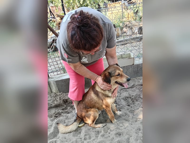 Nimer will endlich zuhause ankommen