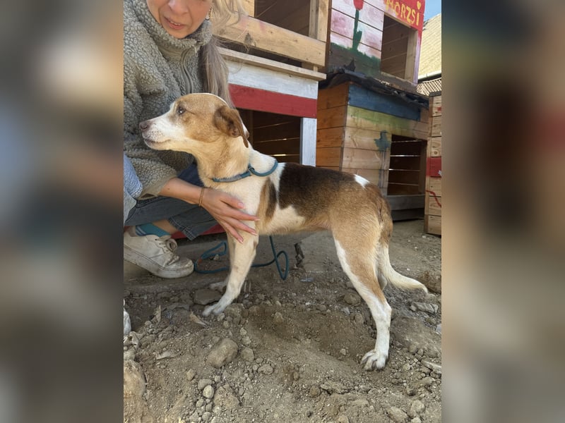 Picúr wartet schon so lange auf ihr Zuhause
