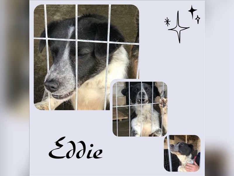 Eddie wartet schon soooo lange