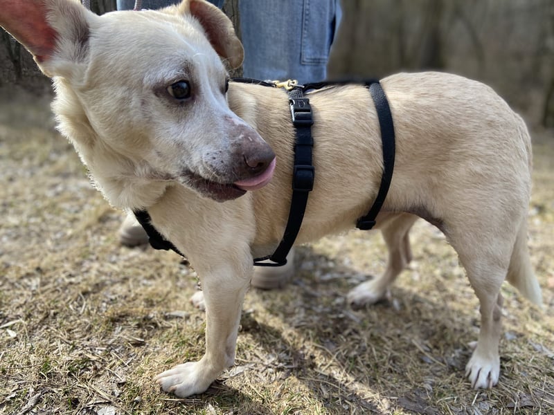 Pepe wartet in Augsburg