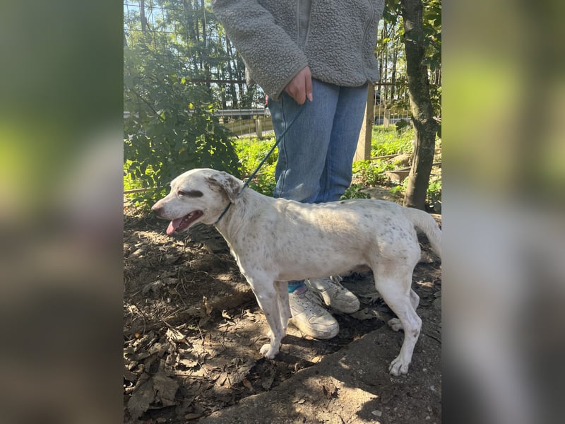 Ildike - hast du noch Platz im Herzen?