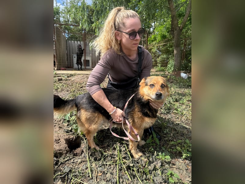 Rubina sucht ihren Menschen