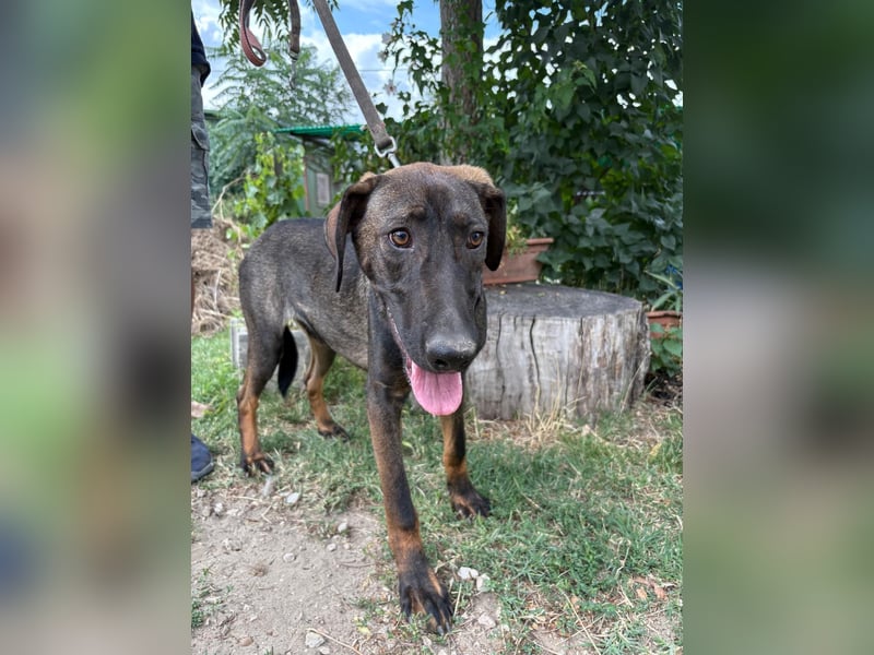 Valentino - will diesen Winter nicht frieren!