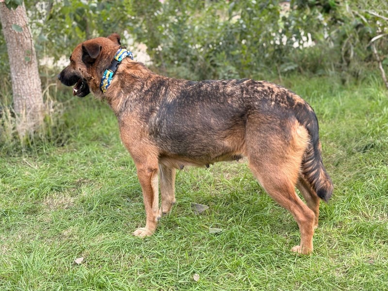 Mery wartet jeden Tag auf ihr Glück