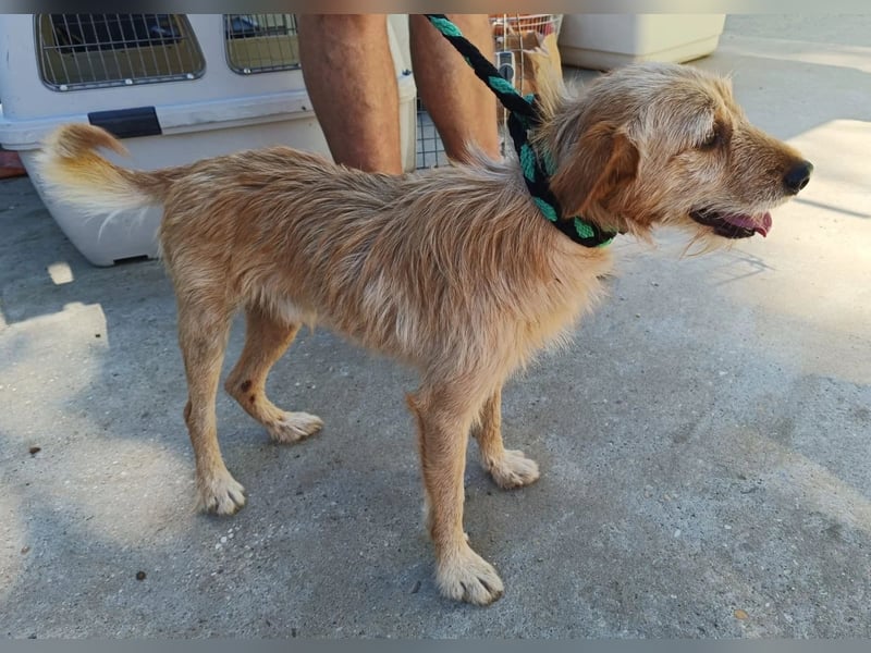 Norman möchte seinen ersten warmen Winter erleben