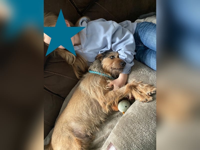 HAPPY ❤️ Name = Programm, Pflegefamilie Köln
