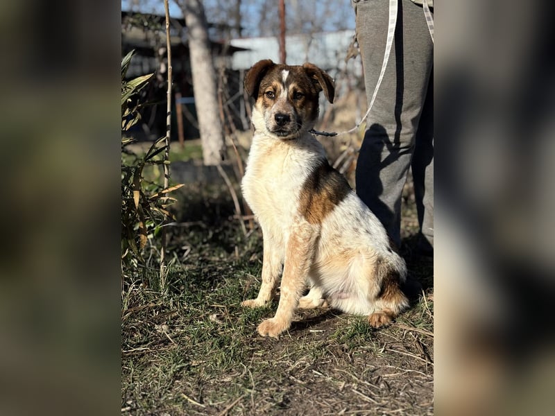 Eliot sucht seine Herzensmenschen