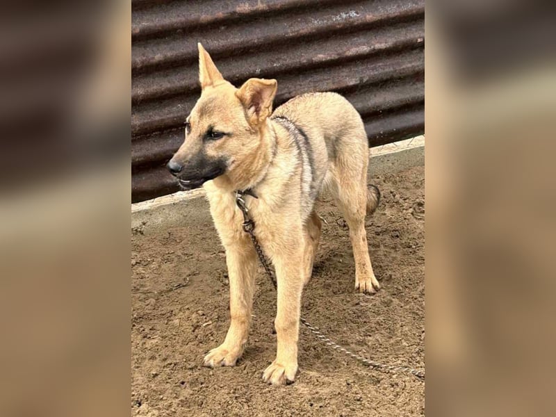 Lita träumt von einem eigenen Zuhause