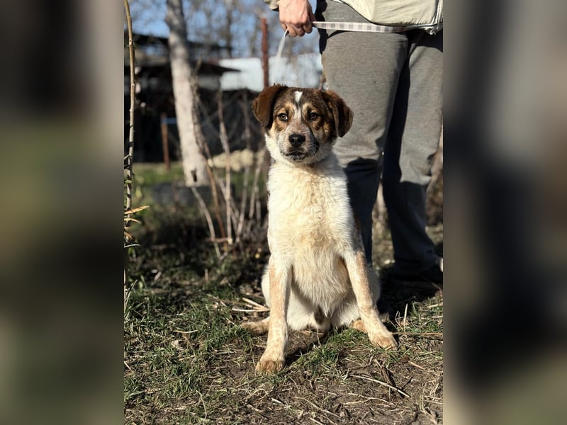 Eliot sucht seine Herzensmenschen