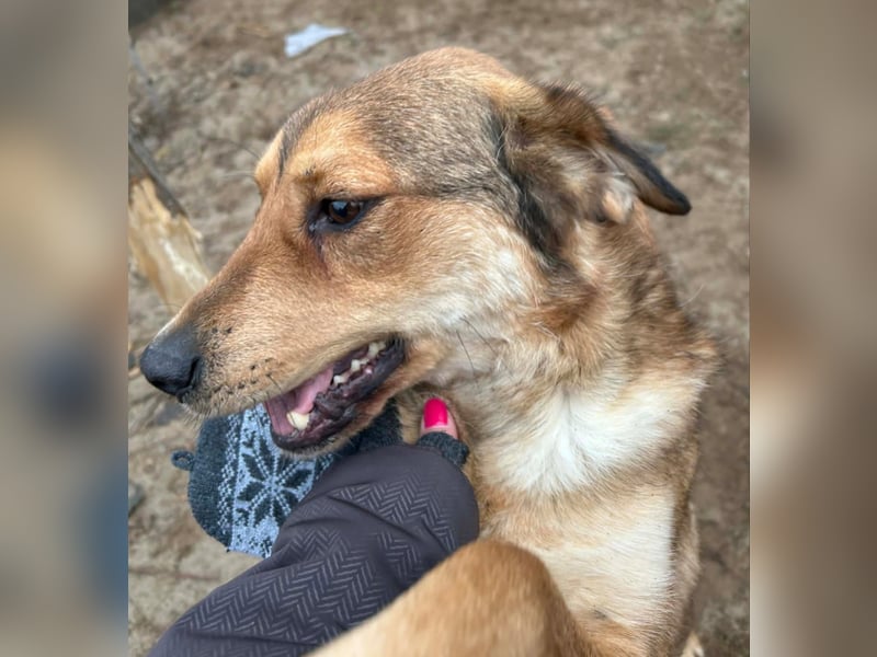 Nimer möchte endlich ankommen