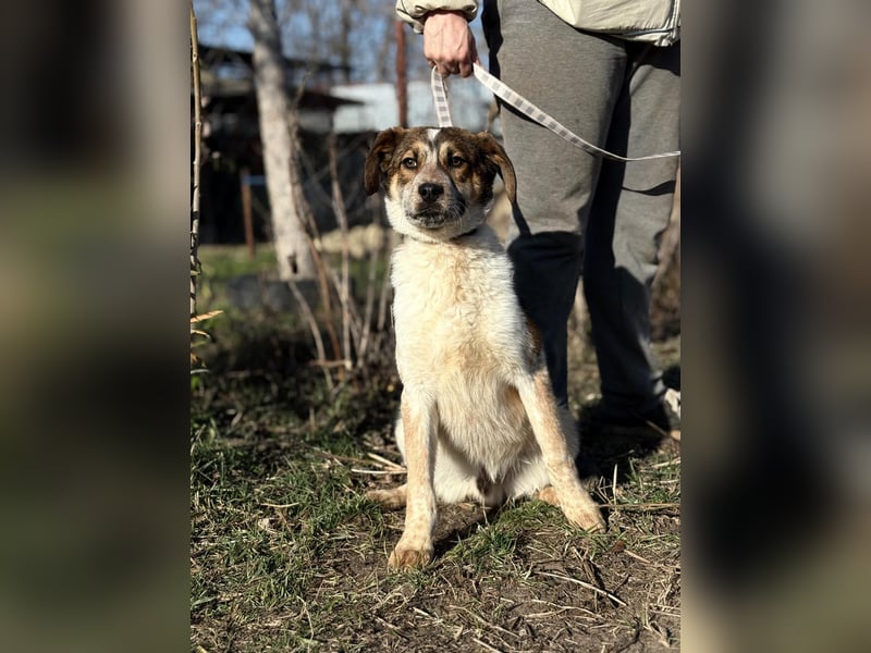 Eliot sucht seine Herzensmenschen