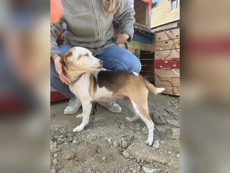 Picúr wartet schon so lange auf ihr Zuhause