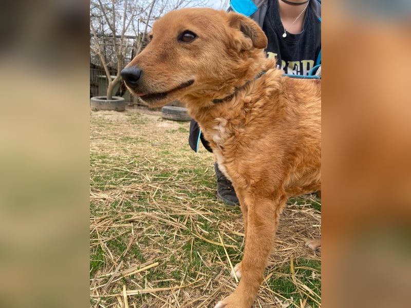 Kajla möchte endlich glücklich sein
