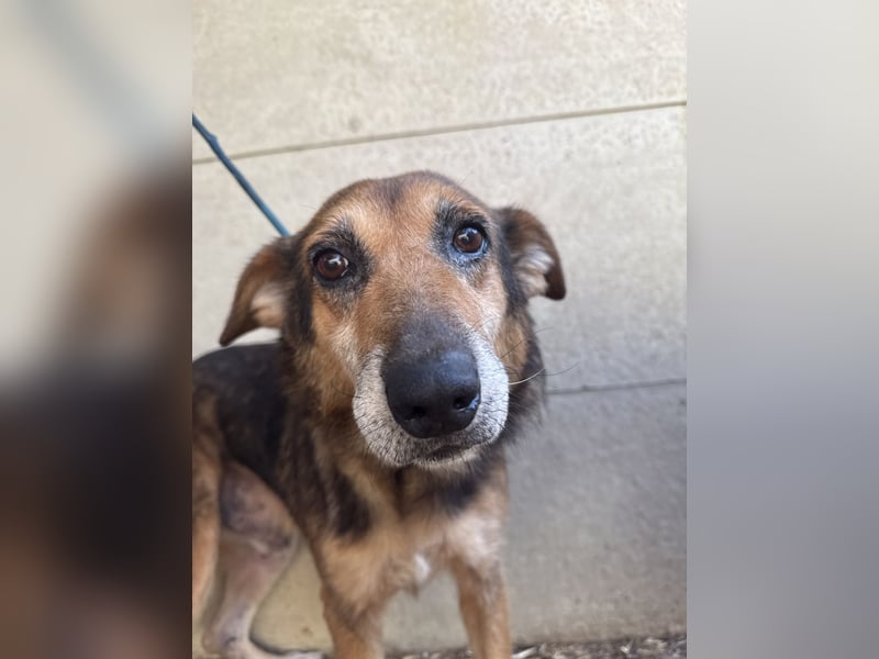 Gáspár möchte endlich ankommen