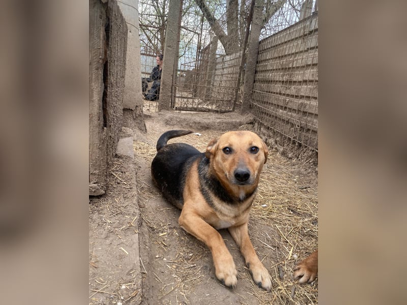 Zengö wartet auf ihr Happy End