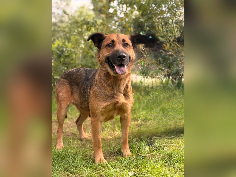 Mery wartet jeden Tag auf ihr Glück