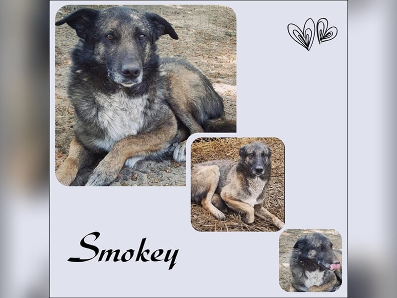 Hoppla hier kommt Smokey