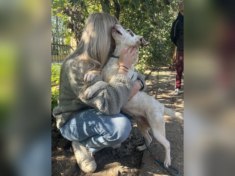 Ildike - hast du noch Platz im Herzen?