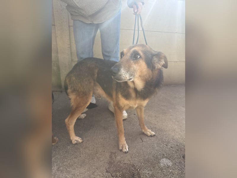 Gáspár möchte endlich ankommen