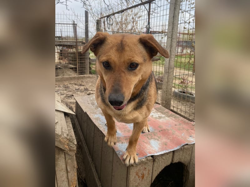 Zengö wartet auf ihr Happy End