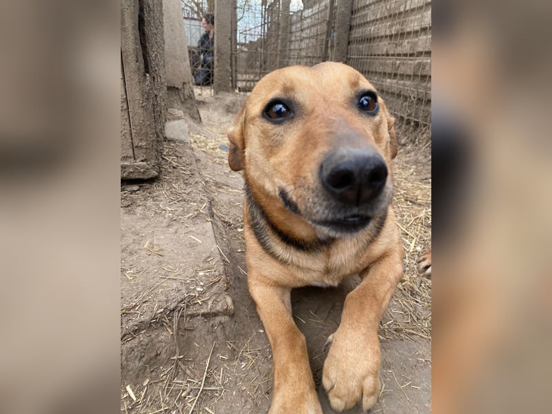Zengö wartet auf ihr Happy End
