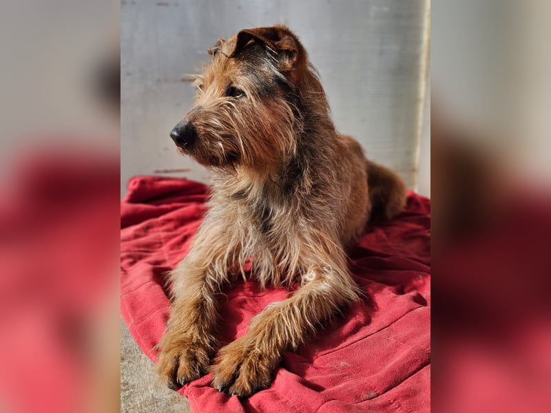 HAPPY ❤️ Name = Programm, Pflegefamilie Köln