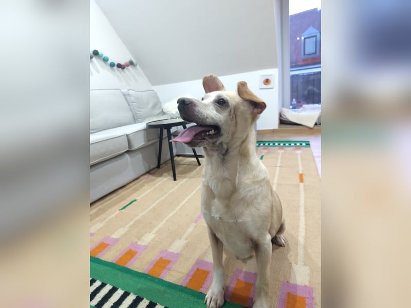 Pepe wartet in Augsburg