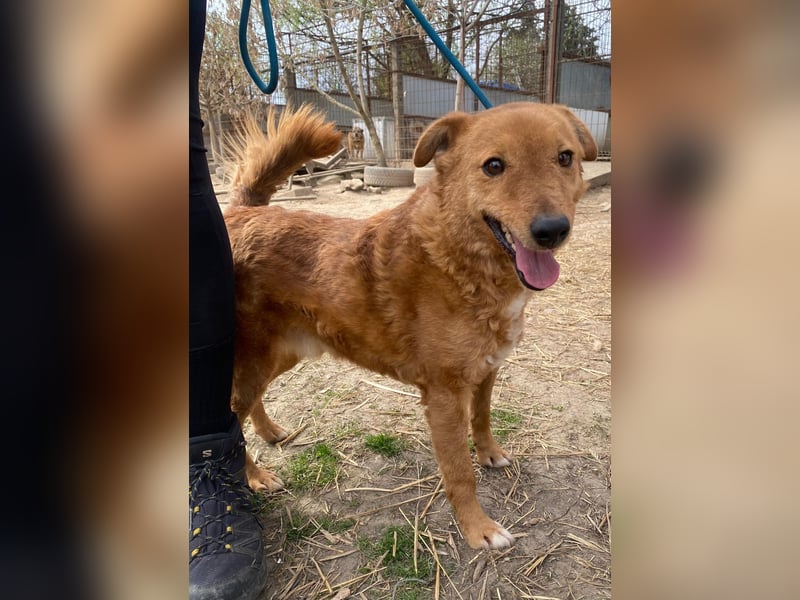 Kajla möchte endlich glücklich sein