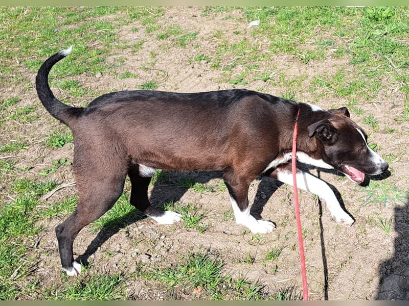 Jordy und seine Geschwister möchten Rumänien schnell verlassen