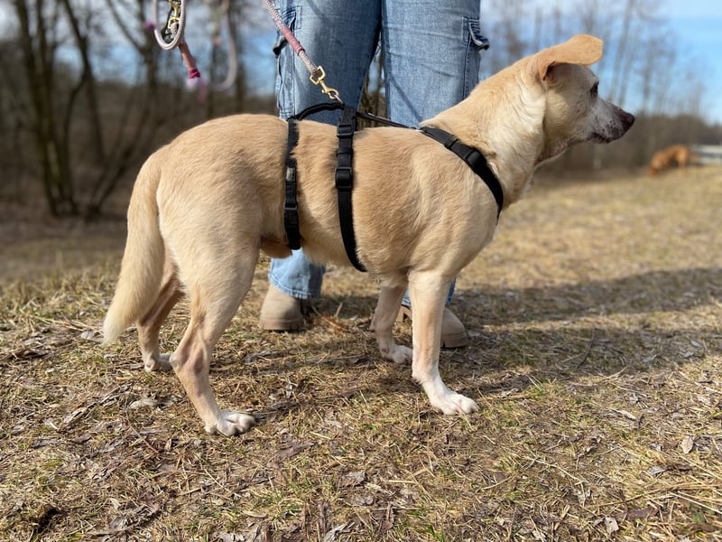 Pepe wartet in Augsburg