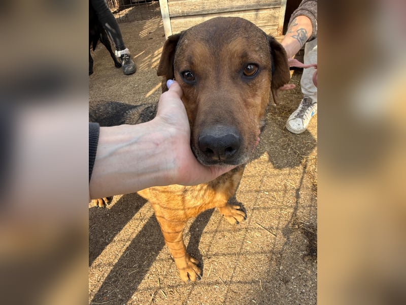 Férko möchte zeigen, was in ihm steckt