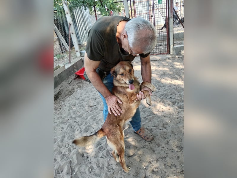 Nimer möchte endlich ankommen