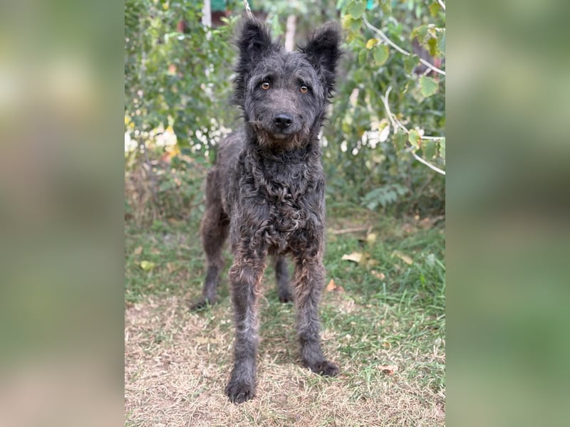 Zelmira sucht ihre Menschen